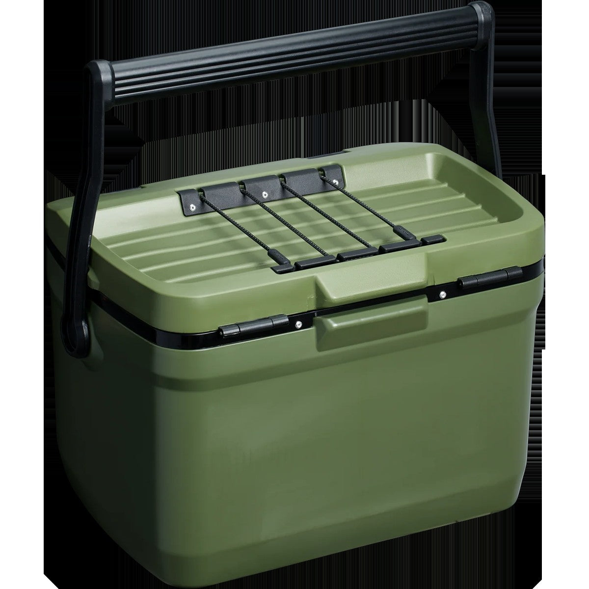 Easy-Carry Outdoor Cooler - 16 qt