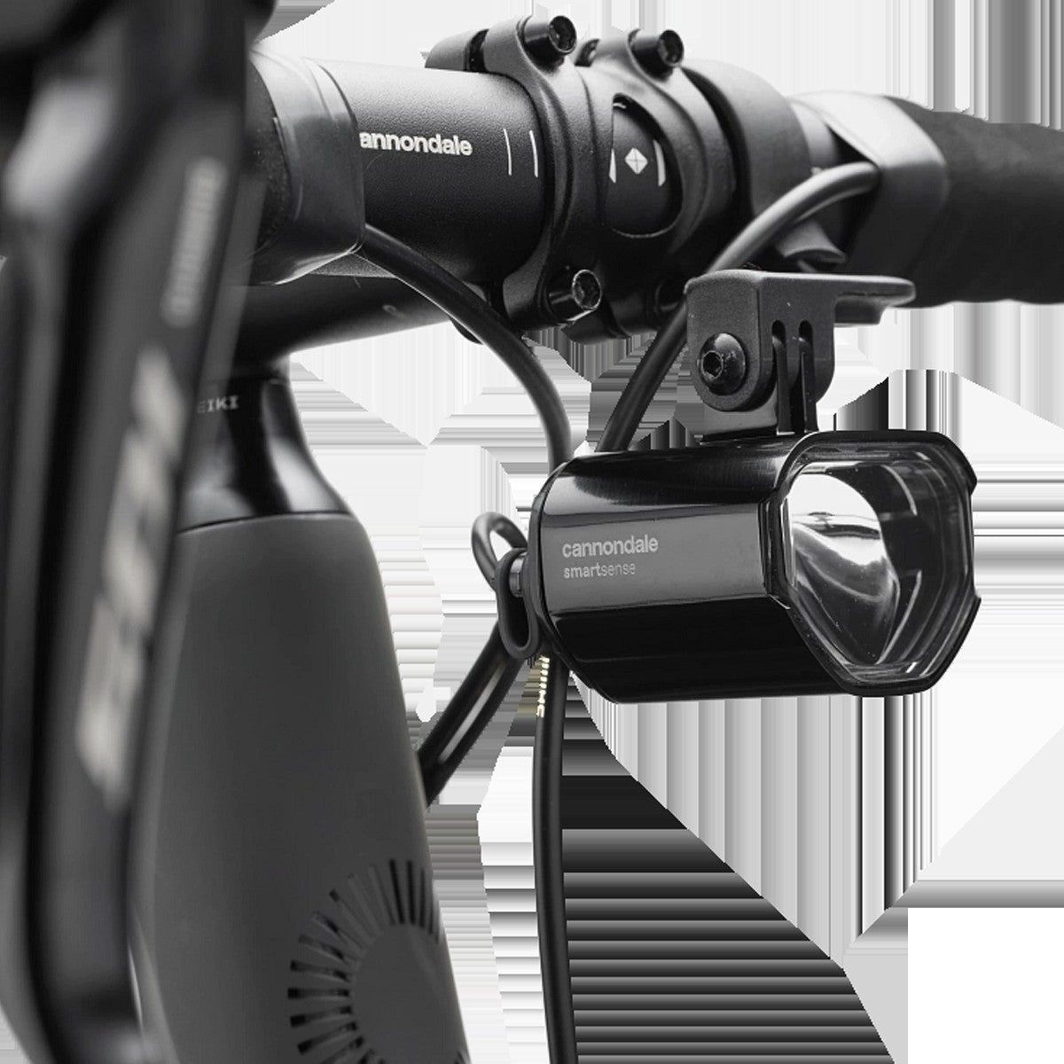 Synapse Carbon 2 LE