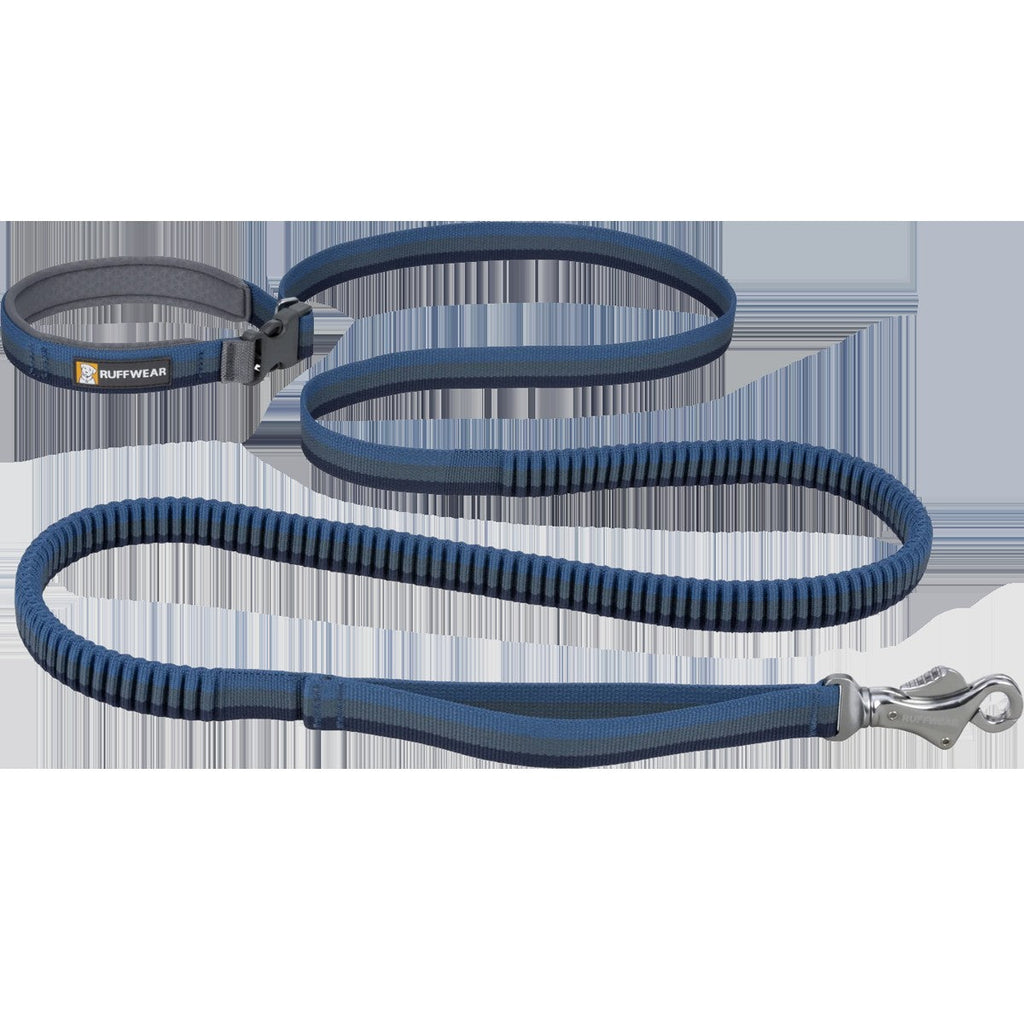 Roamer Bungee Leash