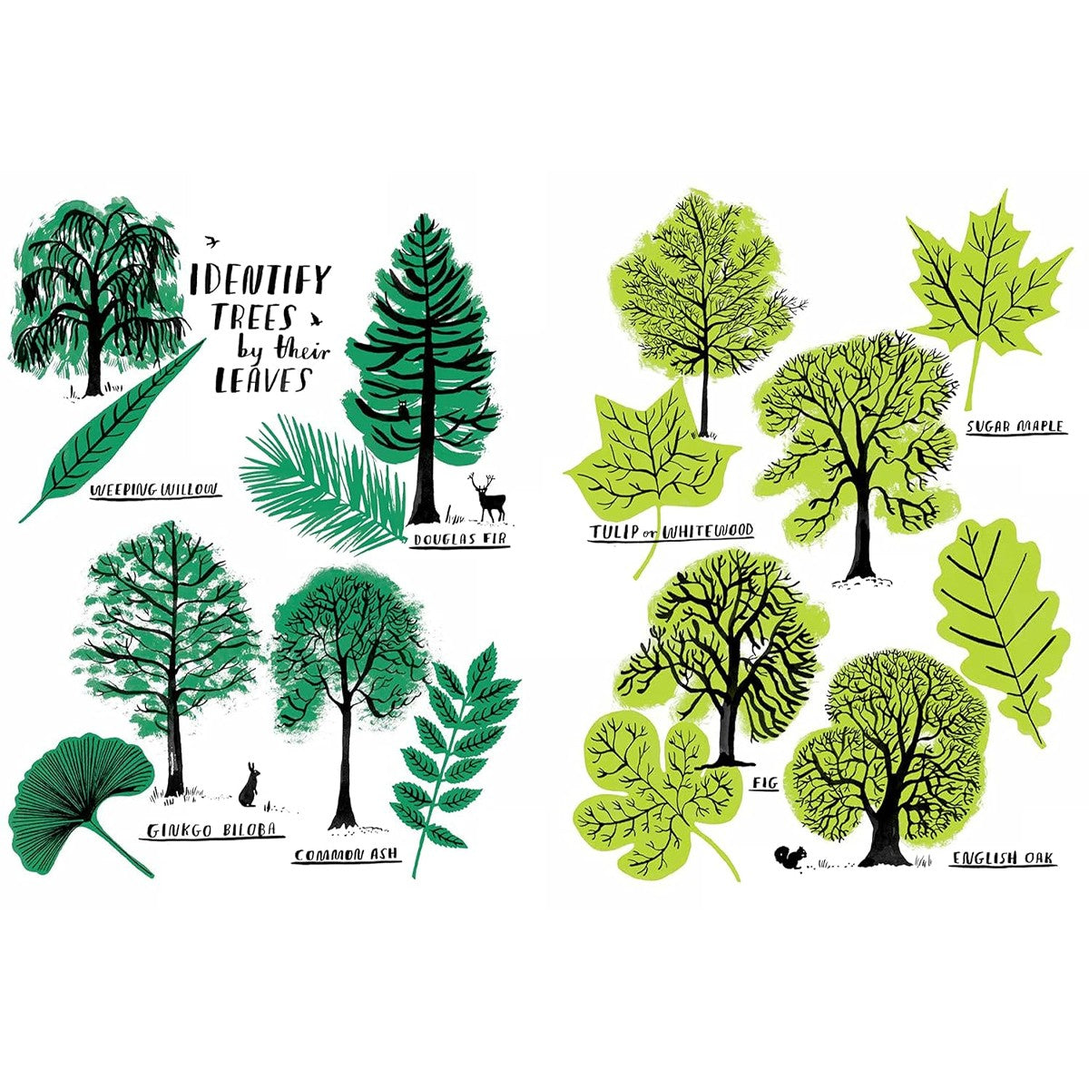 Hello Nature Activity Book