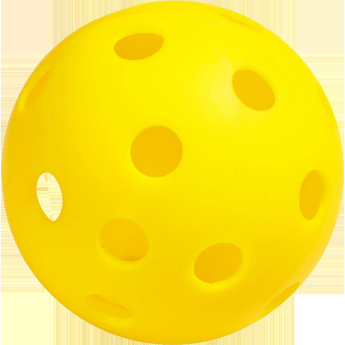 Recruit Beginner Pickleball Set