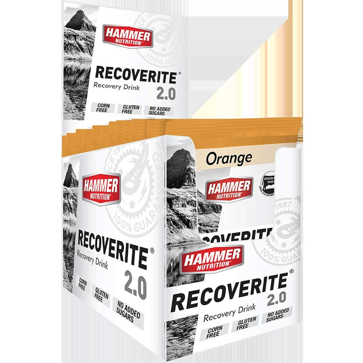 Recoverite 2.0 Single Serving