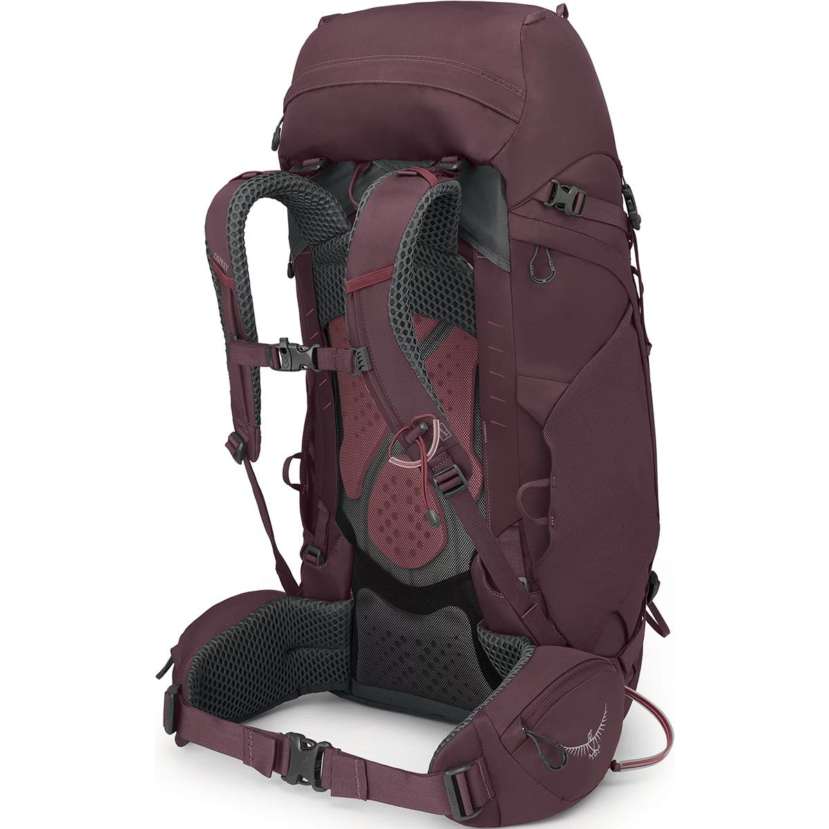 Women's Kyte 48
