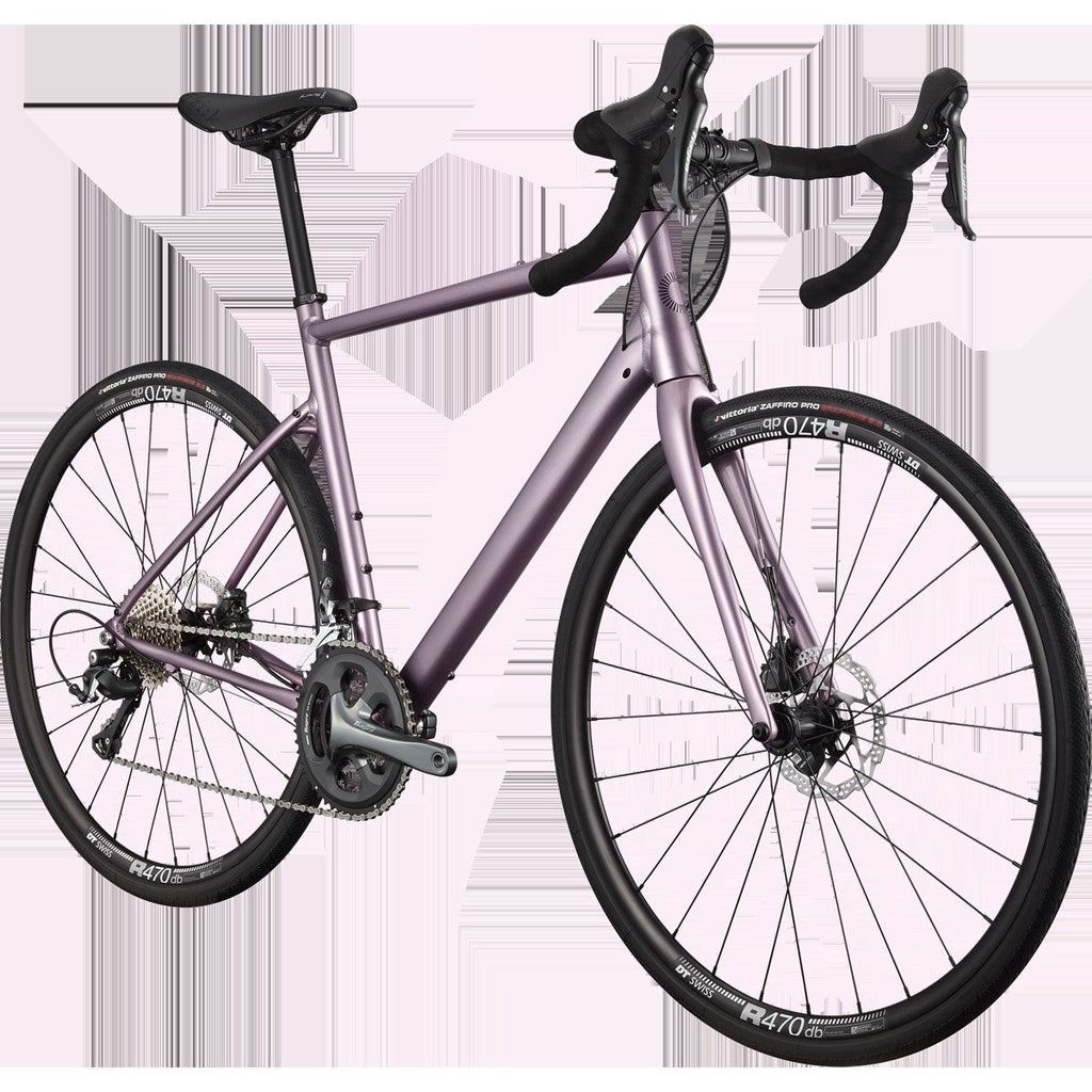 Synapse 2