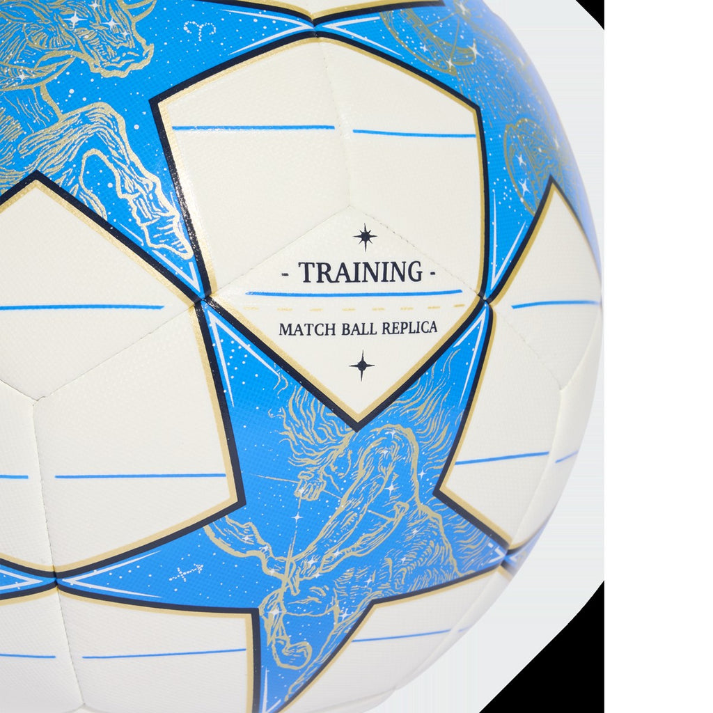 UCL Training Ball