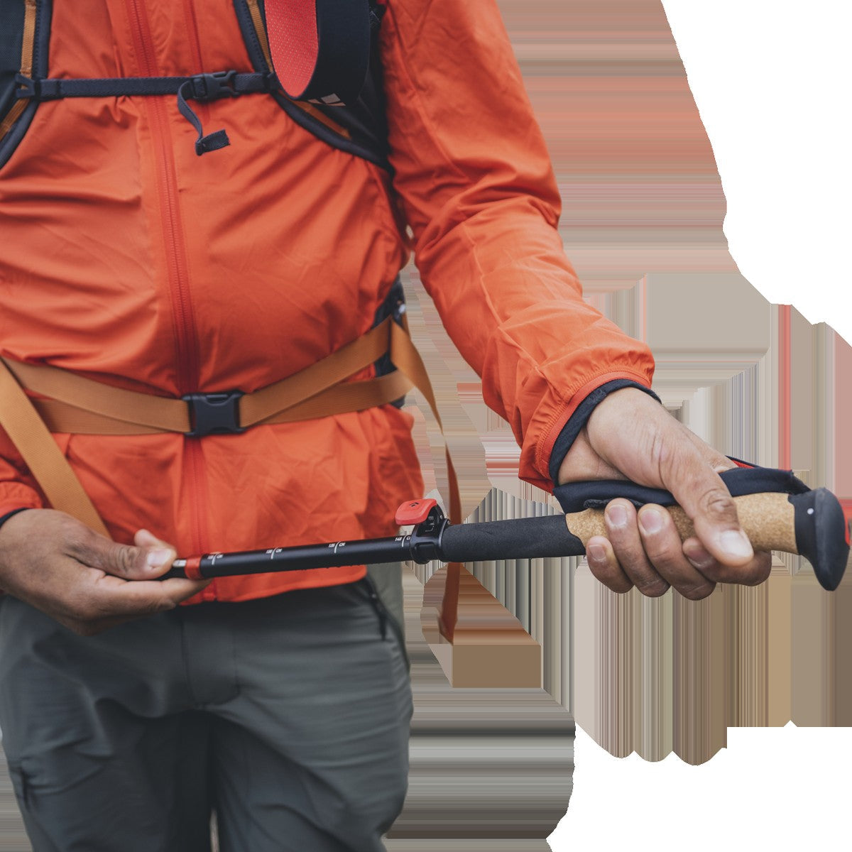 Pursuit FLZ Trekking Poles