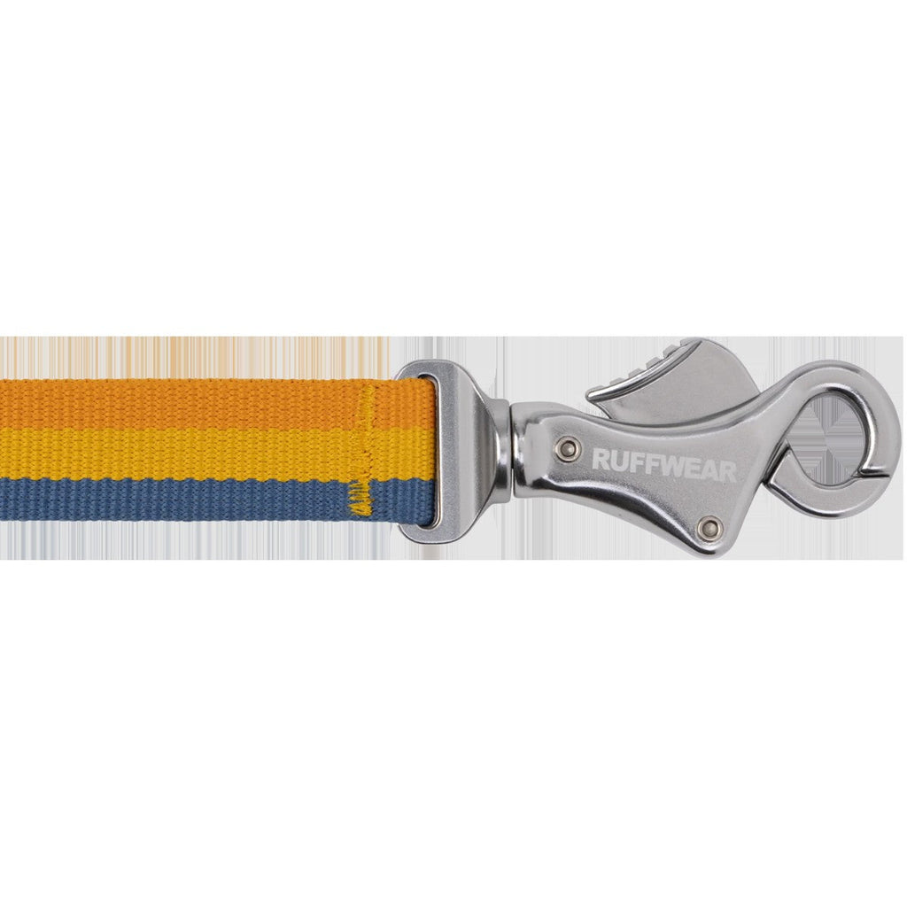 Roamer Bungee Leash