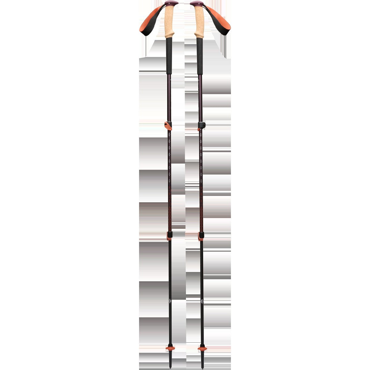 Trail Cork Trekking Poles