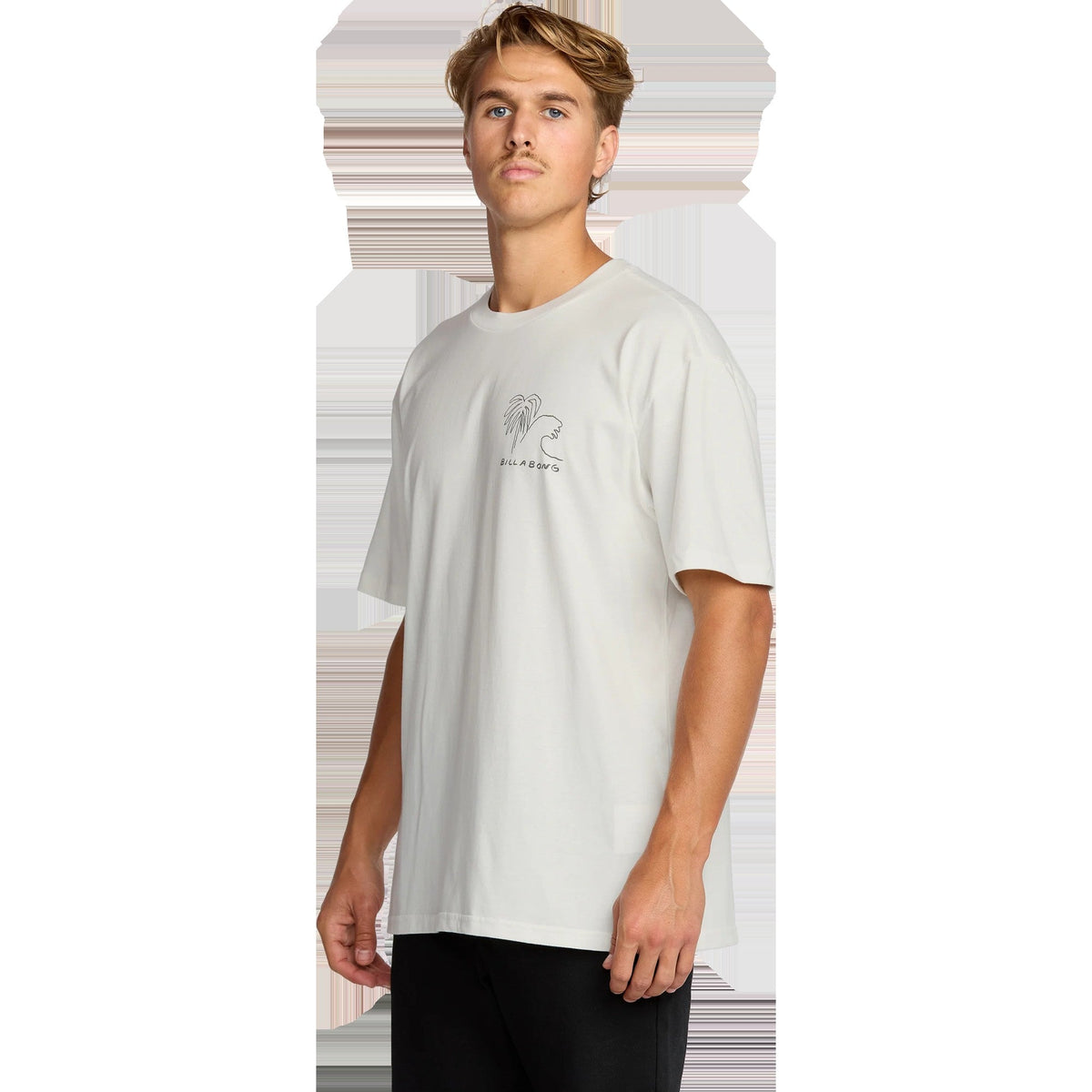 Men's Scenes Regular Short Sleeve