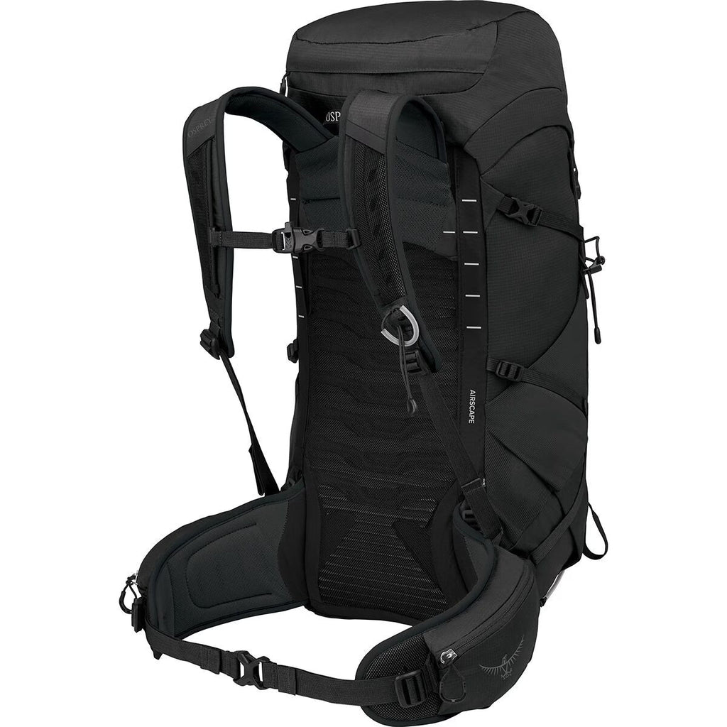 Talon 33