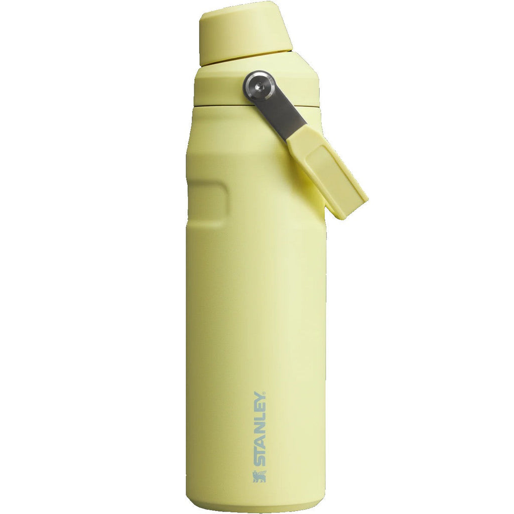 IceFlow Bottle 24 oz with Fast Flow Lid