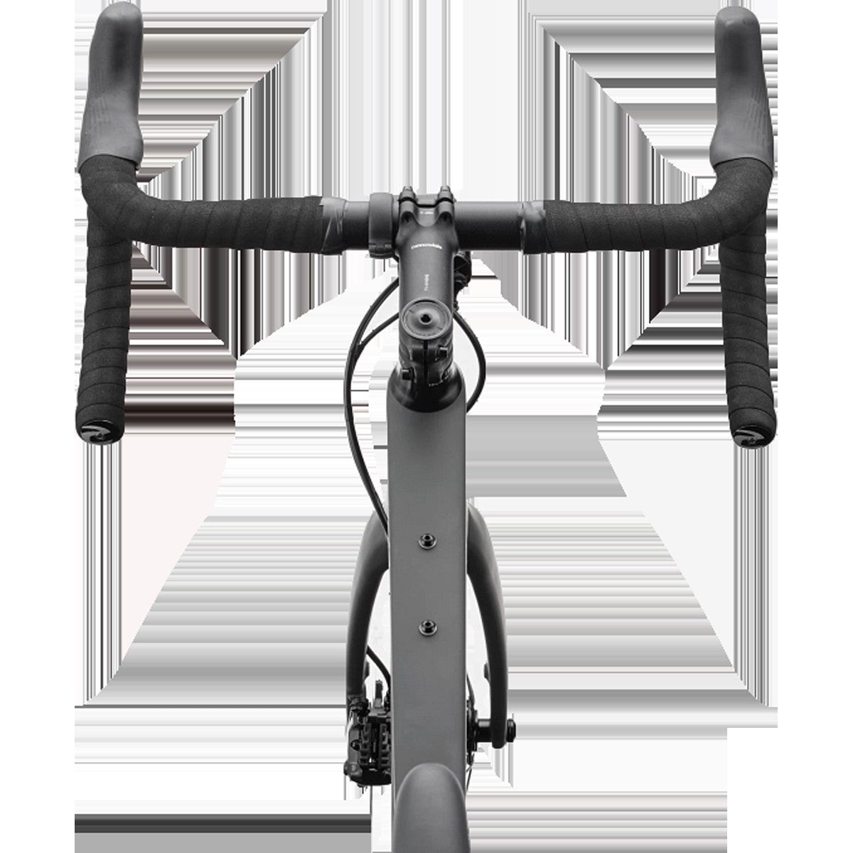 Synapse Carbon 2 LE