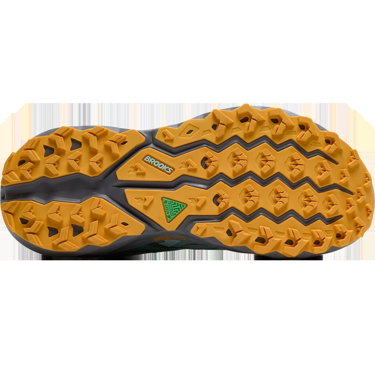 Women's Cascadia 19