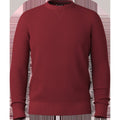 Men's Sparwood Crew Sweater