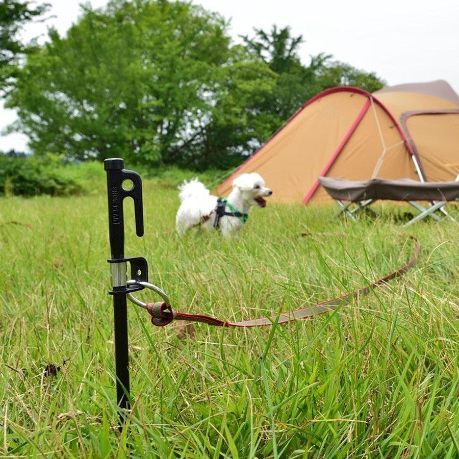 Dog Lead Anchor 50