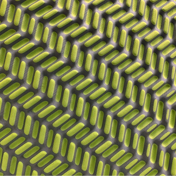 TwisterCane BioFoam Pad