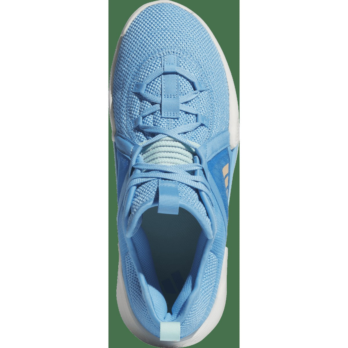 Exhibit Select