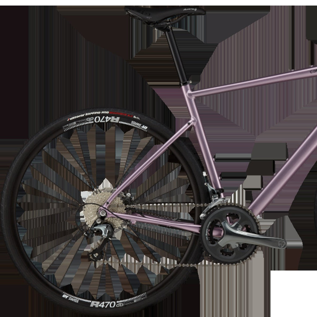 Synapse 2