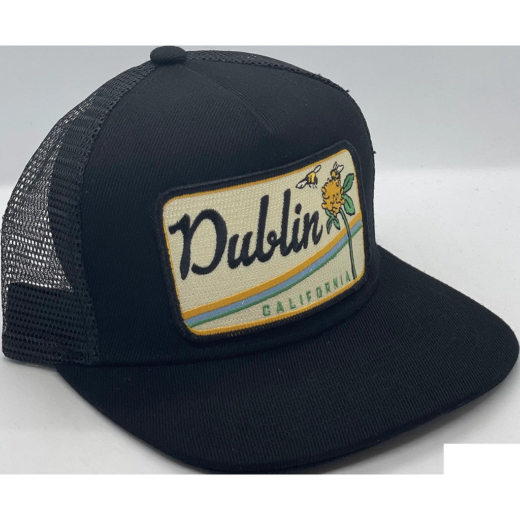 Dublin Trucker